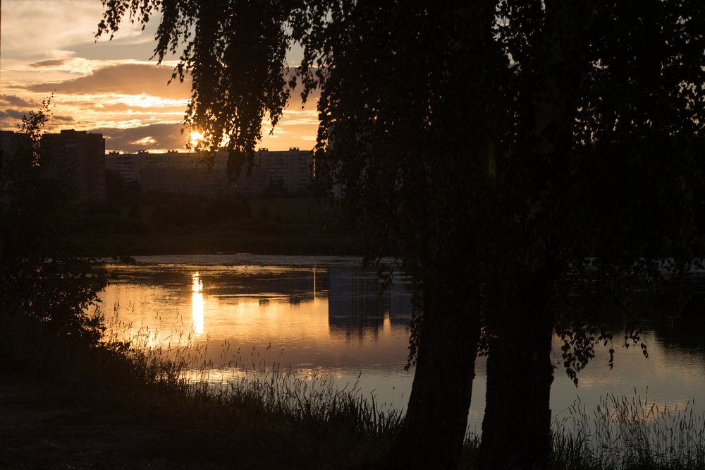 Прогулка перед сном