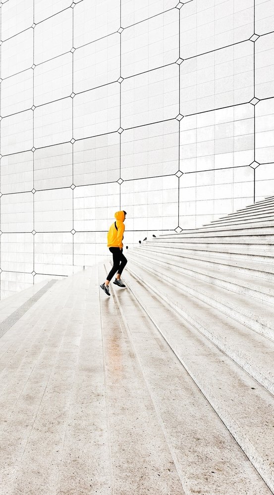 Yellow jacket on run