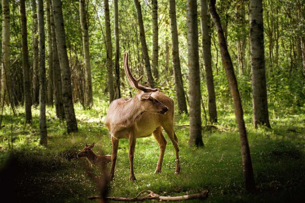 Photograph by Людмила Кузьменко