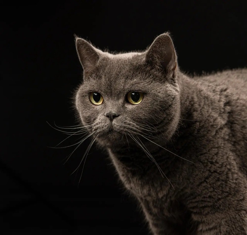 Photograph by Александр Кононов