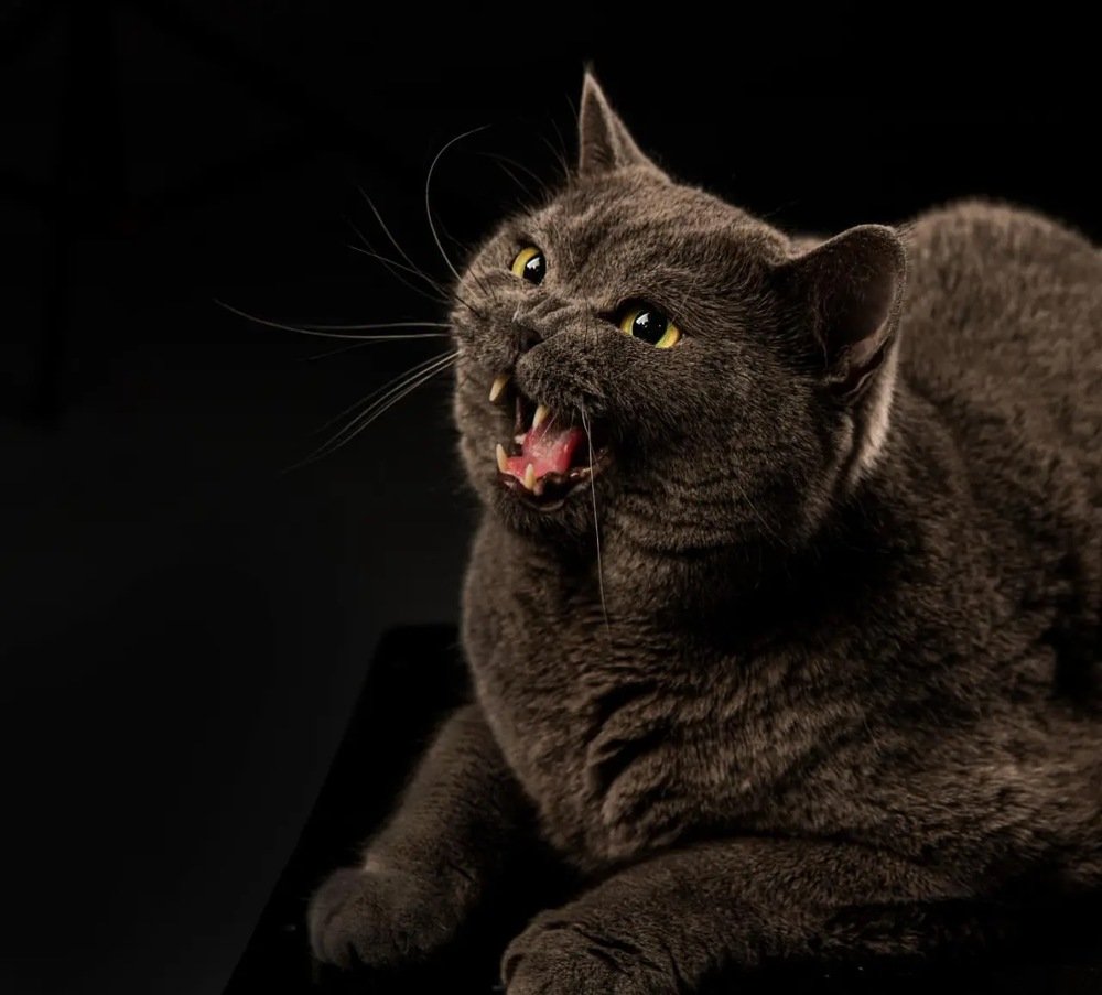 Photograph by Александр Кононов