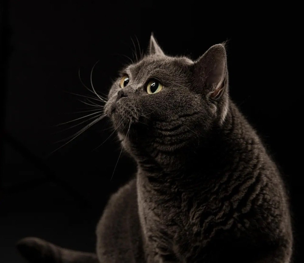 Photograph by Александр Кононов