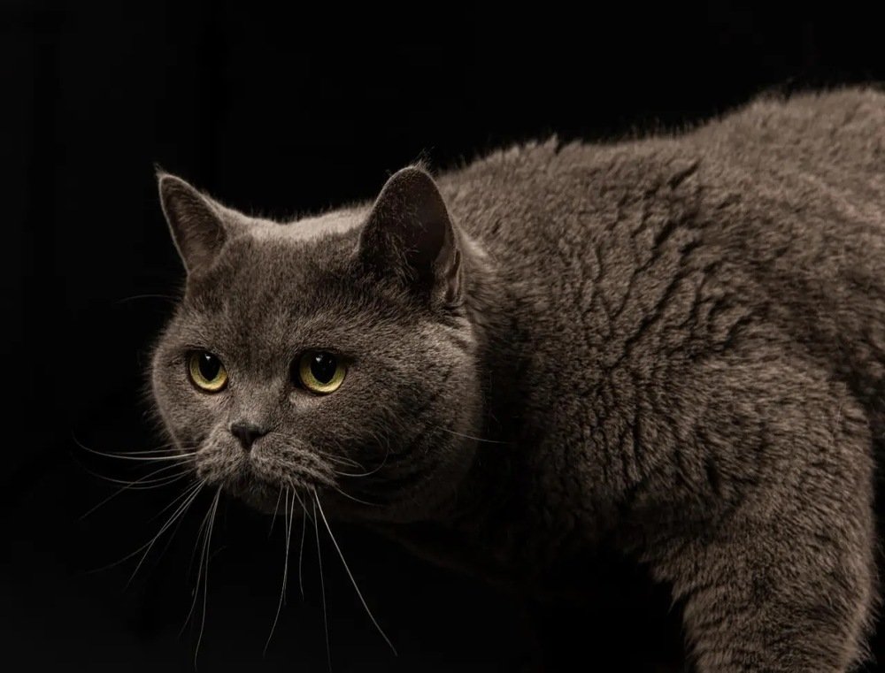 Photograph by Александр Кононов