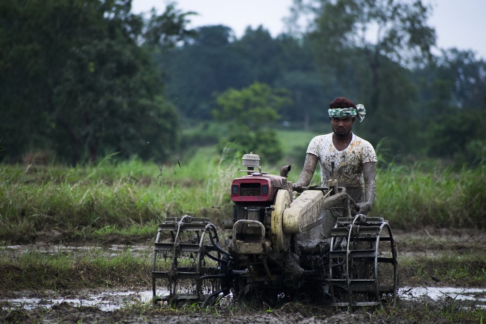 The hero of the nation