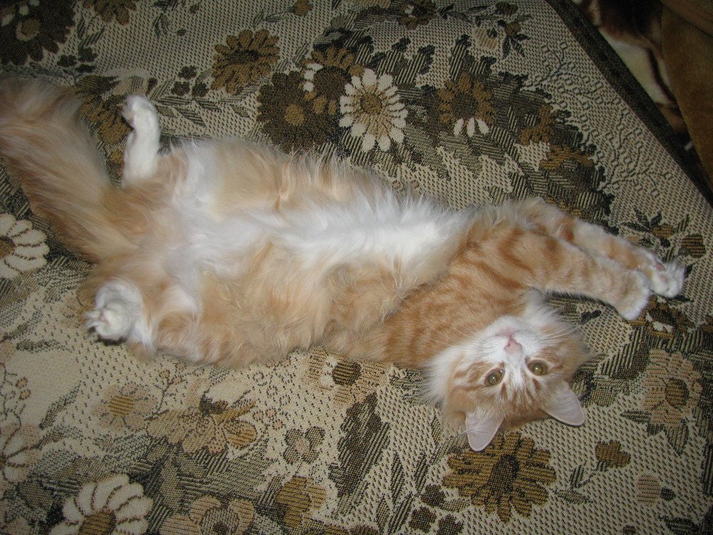 И жизнь хороша и жить хорошо