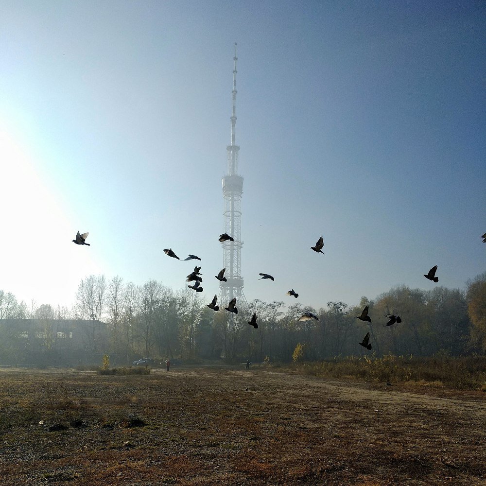 Photograph by Анна Айбетова