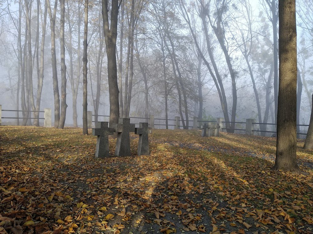 Photograph by Анна Айбетова