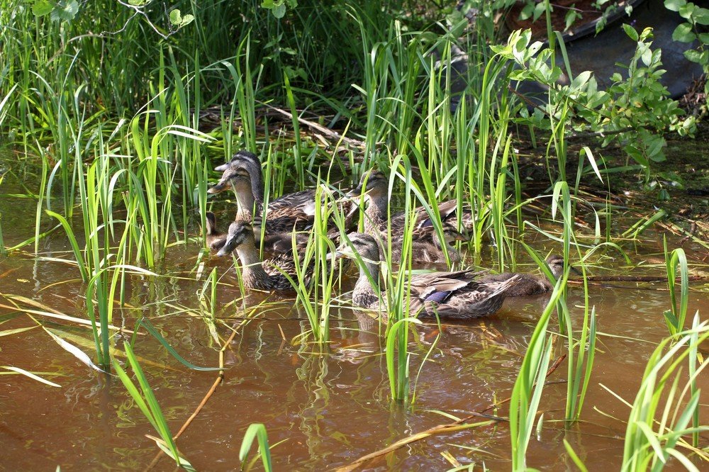 Photograph by Владимир