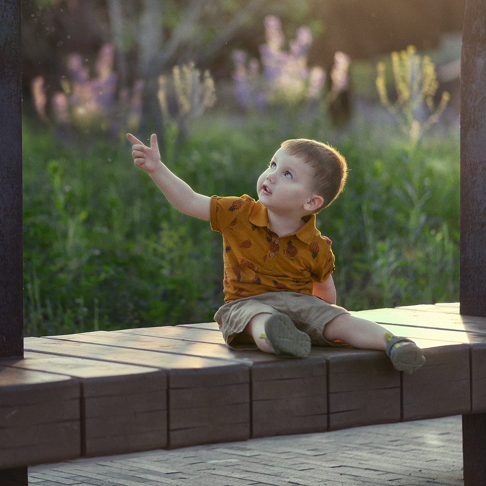 Летний закат