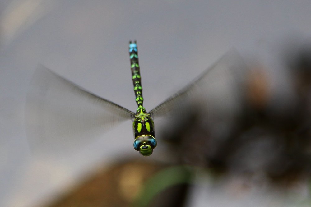 Зеркало души