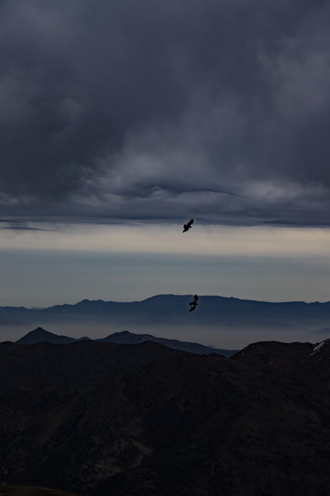 Photograph by Alejandra Collarte