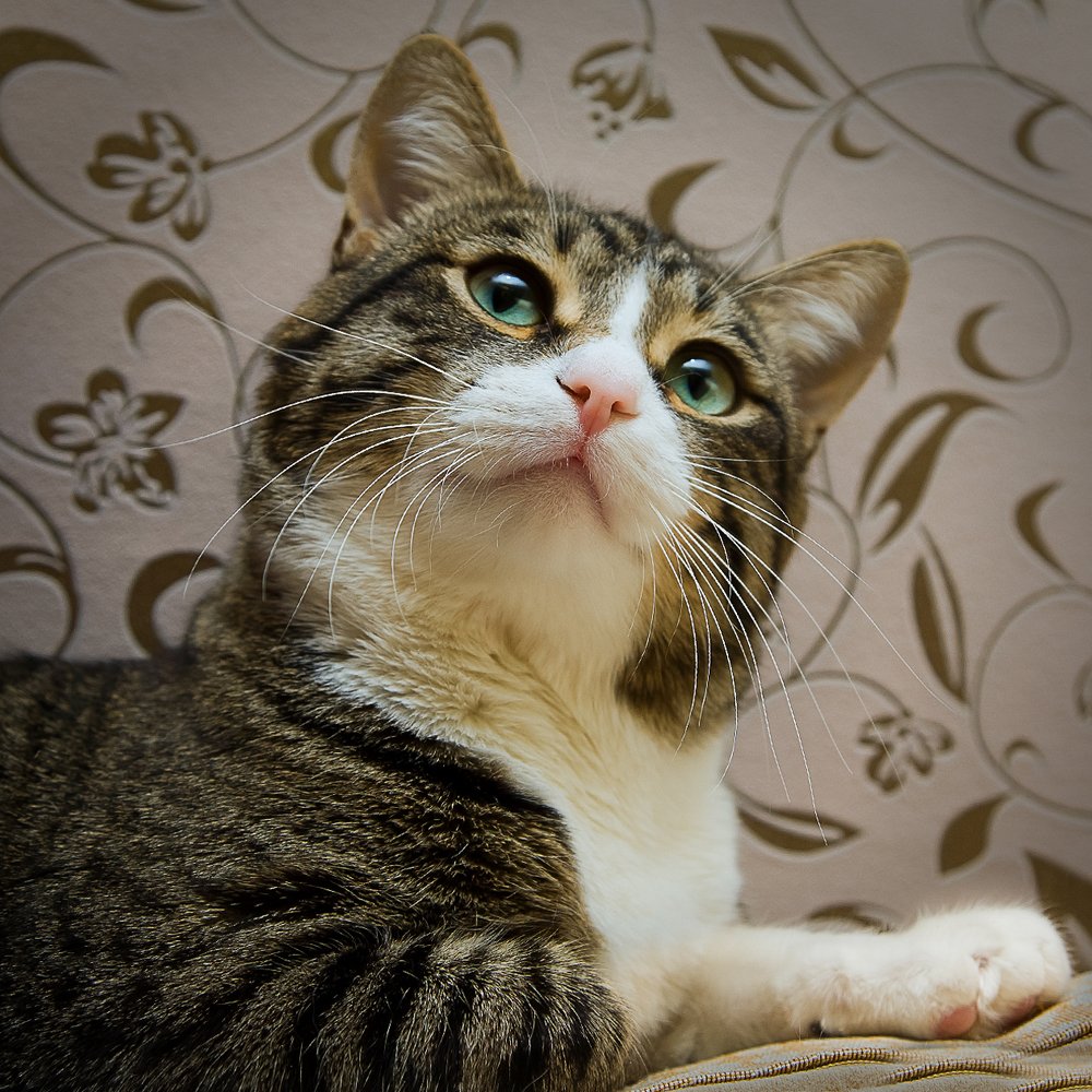 Photograph by Бобылёв Василий