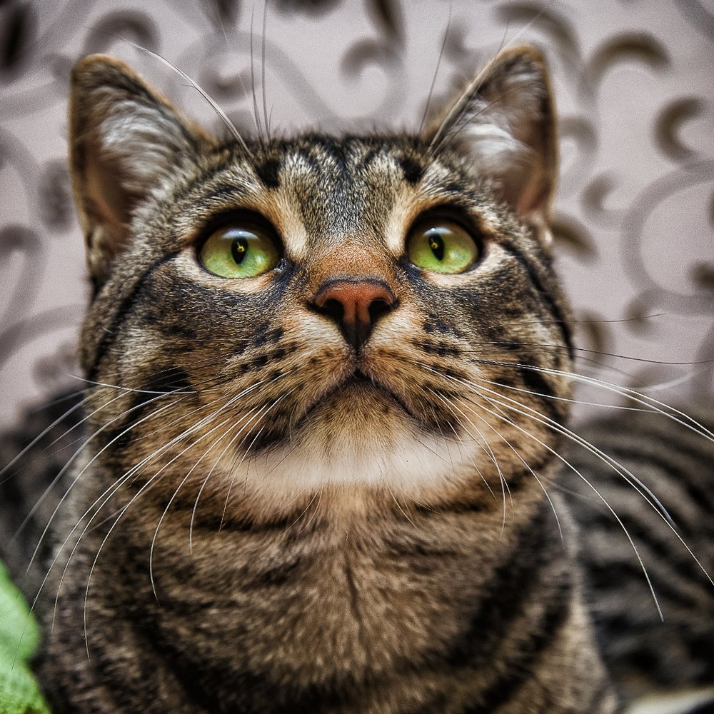 Photograph by Бобылёв Василий