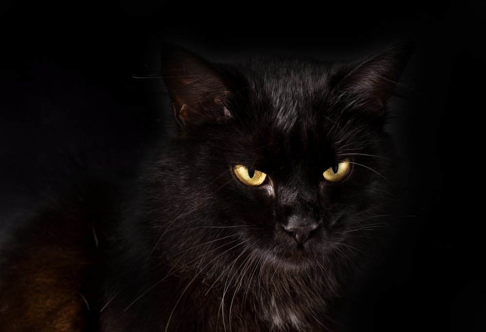 Photograph by Анна Айбетова