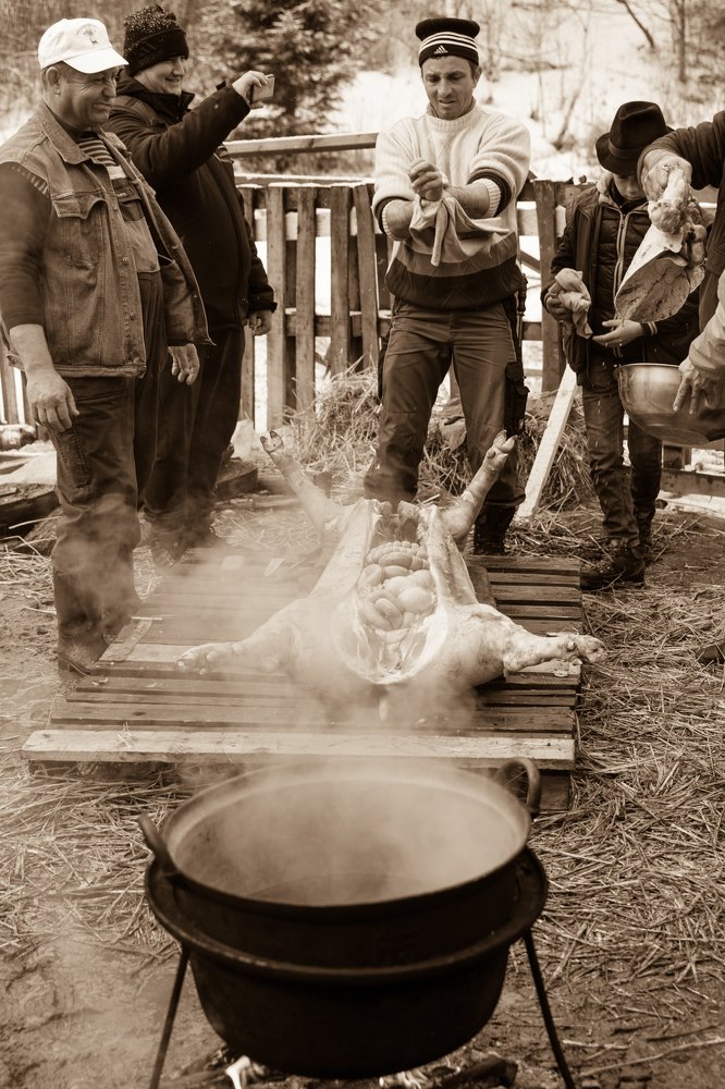 Men preparing the pig for cooking traditional specialties
