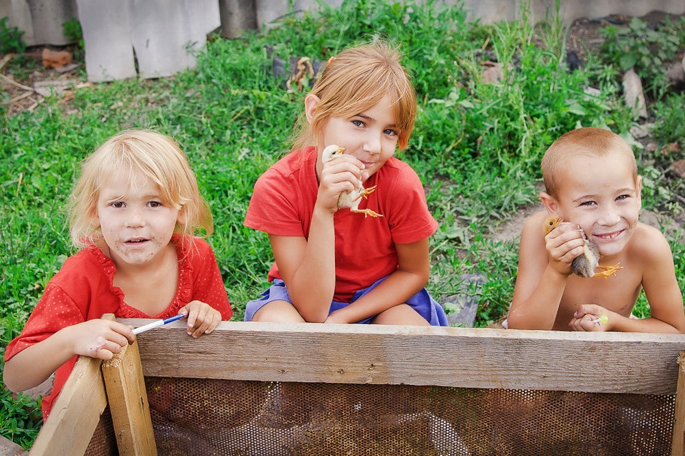 Photograph by Бобылёв Василий