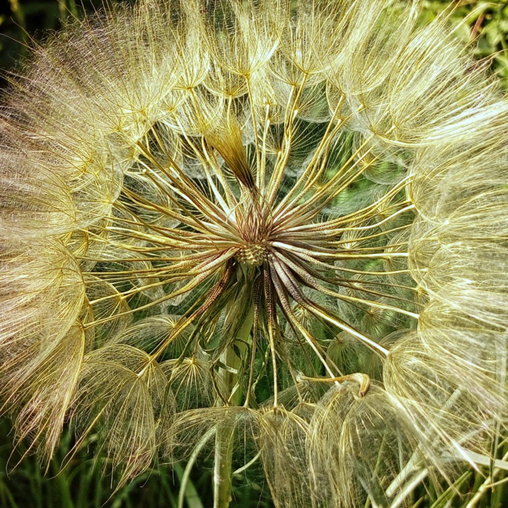 Photograph by Бобылёв Василий