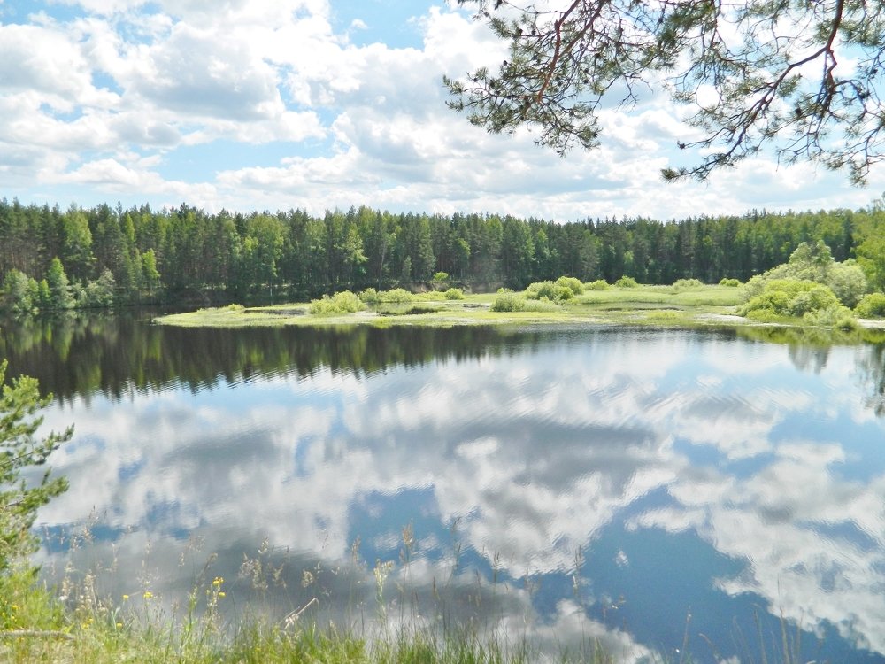 На берегу Рени