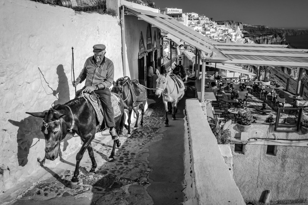 Пастух и Кони