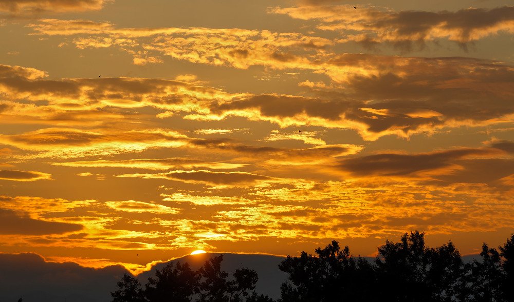 Золотой закат...