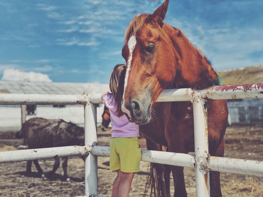 Когда любовь взаимна