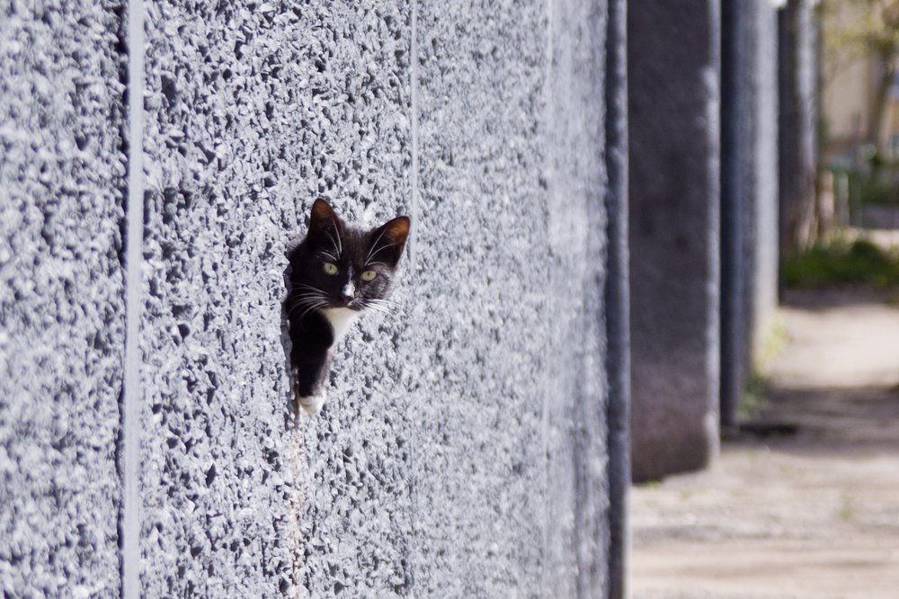 Фотография автора Гудкова Светлана