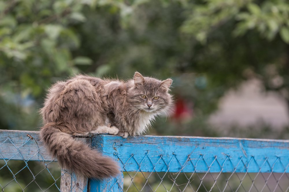 Photograph by Иван Кабалин