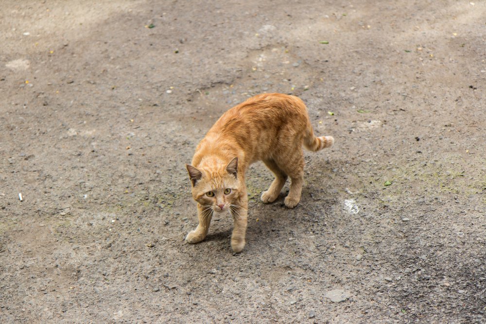 Photograph by Иван Кабалин