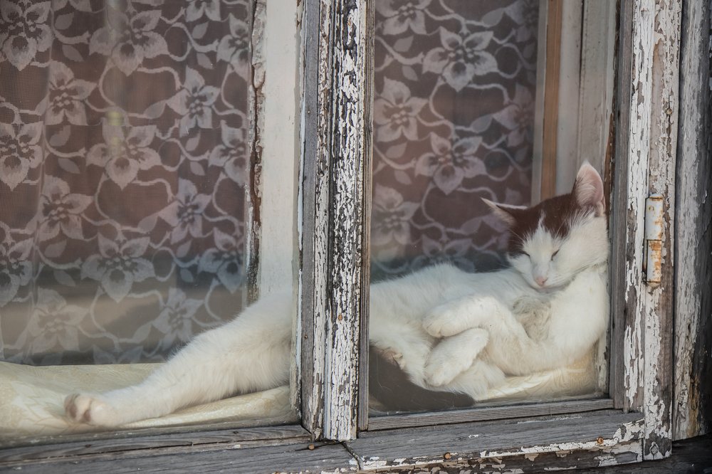 Жарким днём