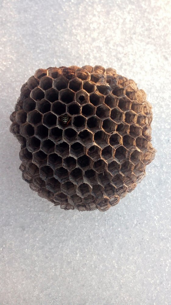 Опустевший дом.