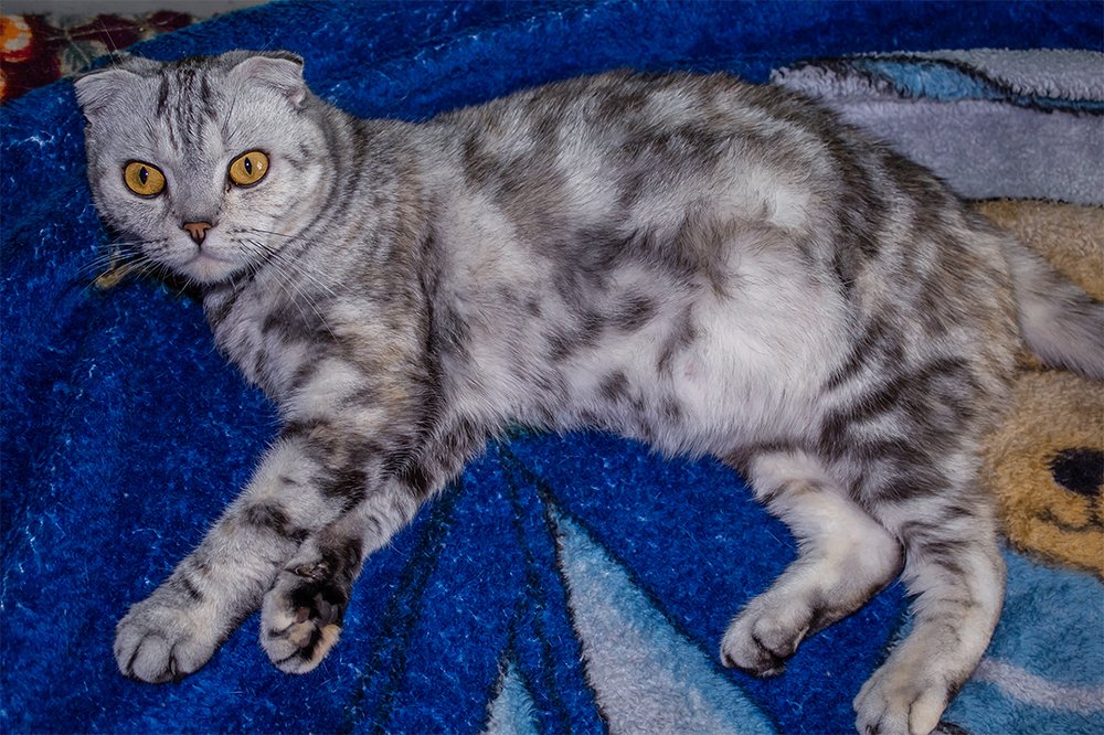 Photograph by Ирина Антонова