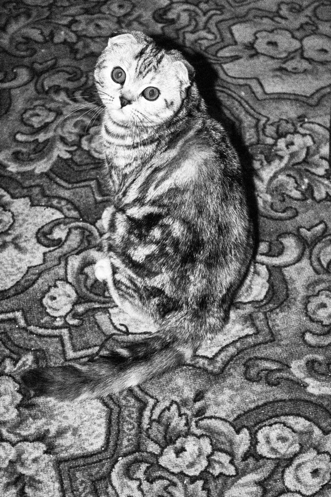 Photograph by Ирина Антонова