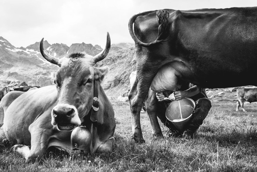 Photograph by Jevgenija Sepeliova