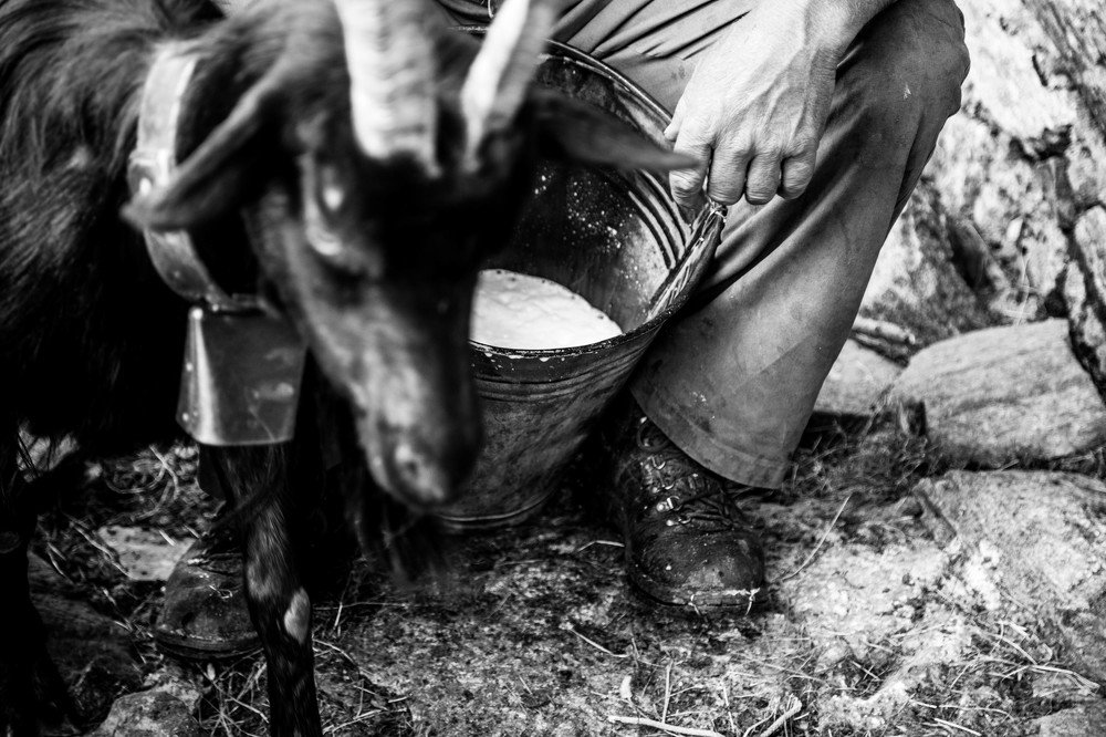 Photograph by Jevgenija Sepeliova