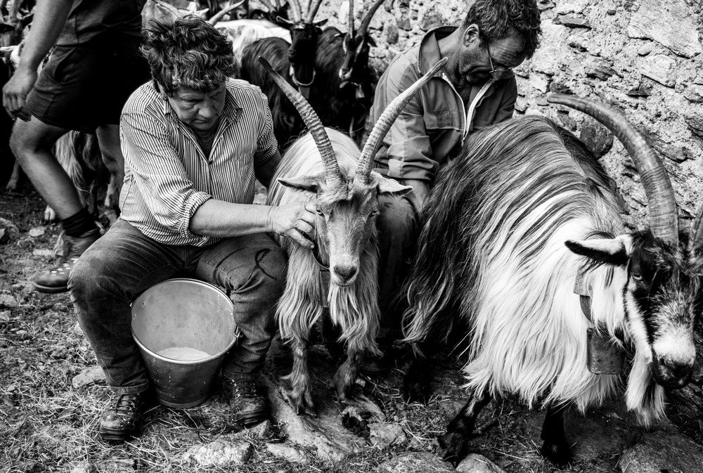 Photograph by Jevgenija Sepeliova