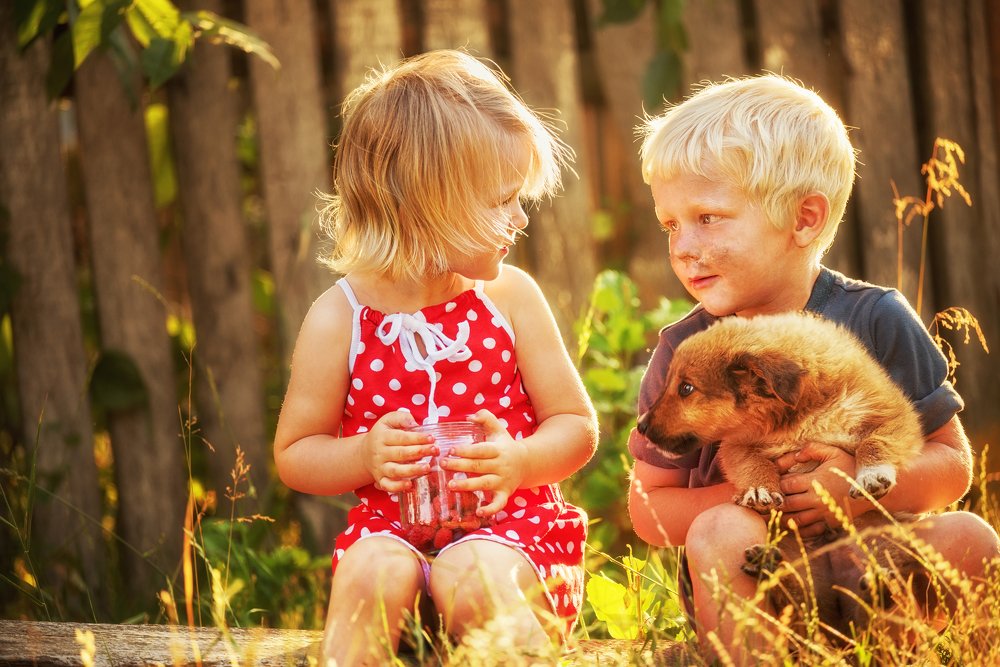 Лето в деревне