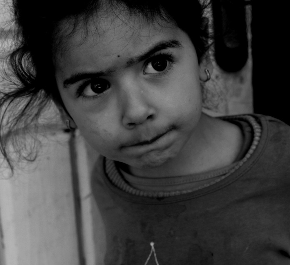 little flower by the morning