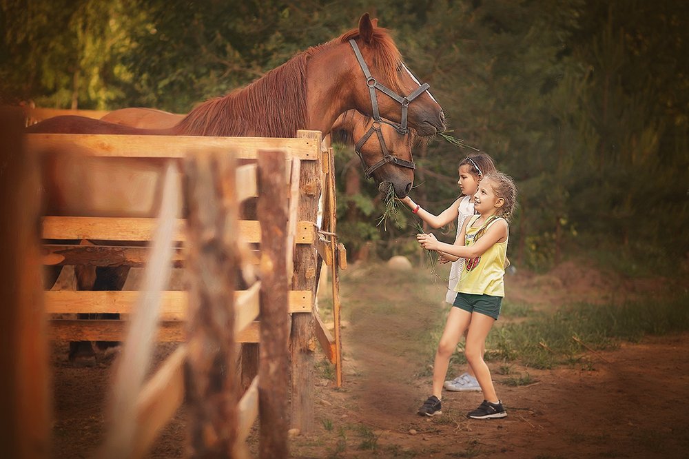 Юные конники