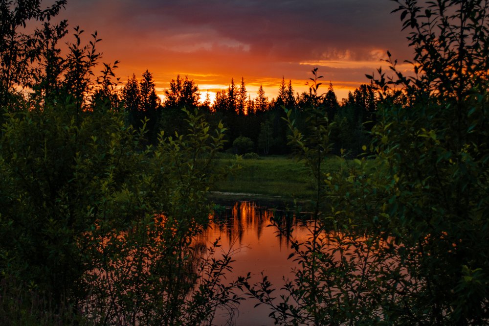 Кровавый рассвет над рекой Ока.