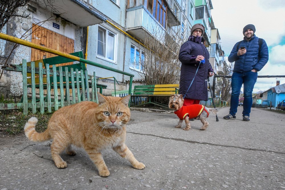 Photograph by Mihail Frolov