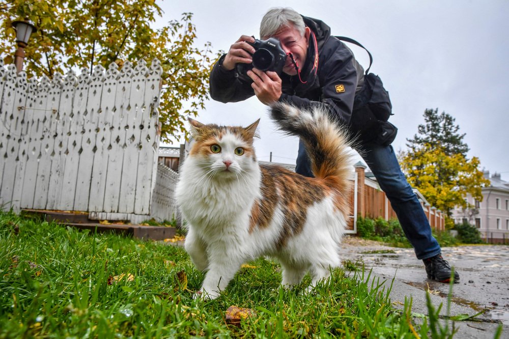 Photograph by Mihail Frolov