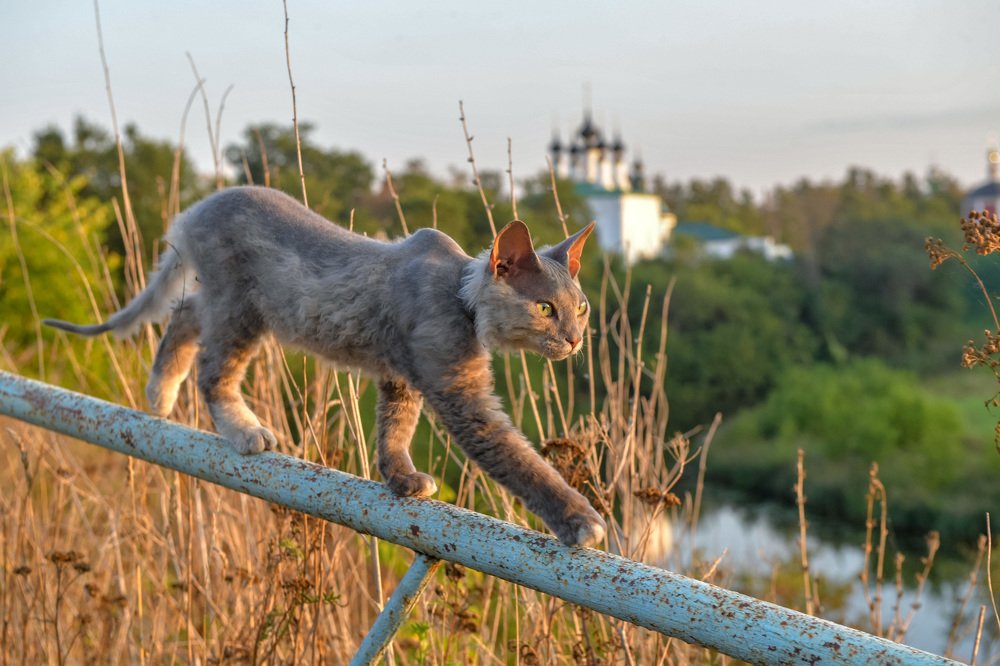 Photograph by Mihail Frolov