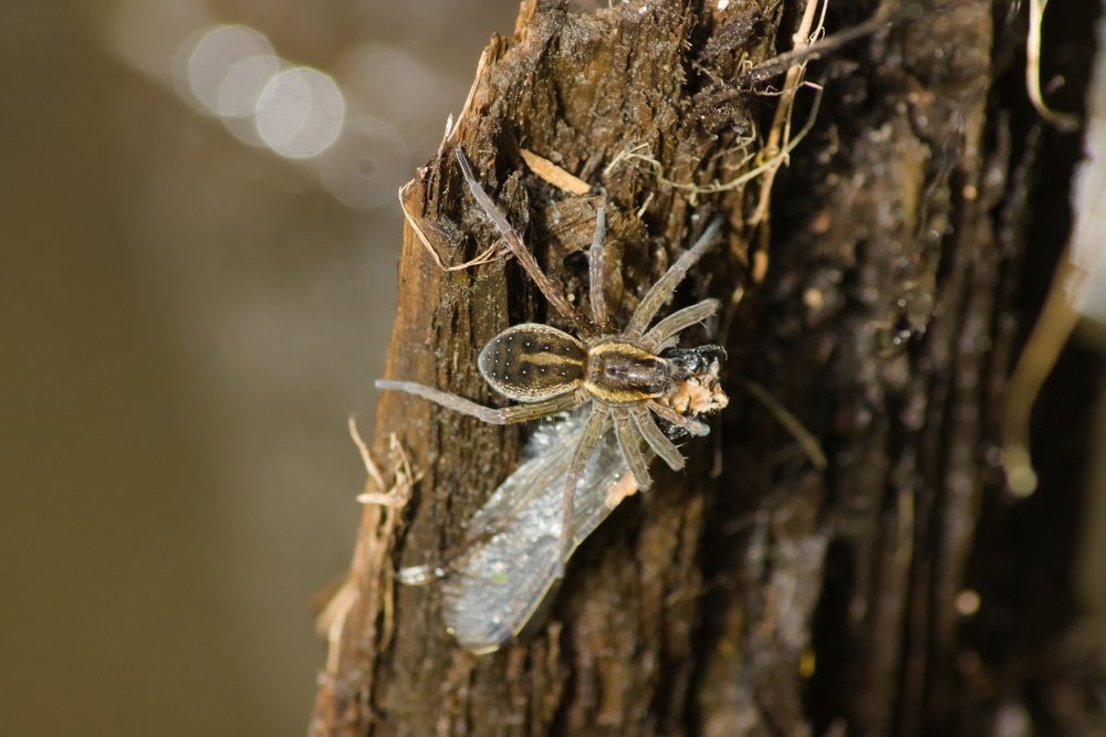 Перерыв на обед