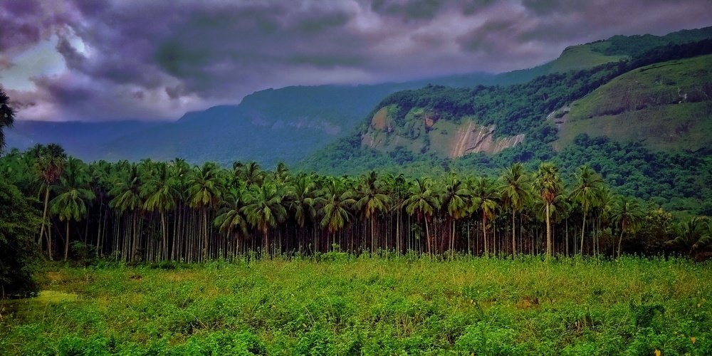 Nature at it's best.