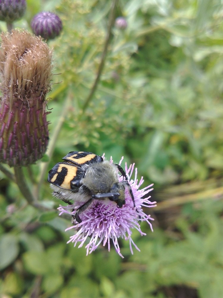 Photograph by Инна Голубева