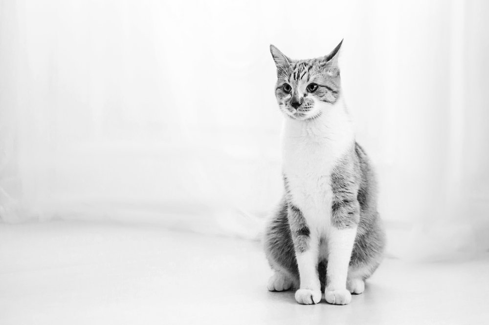 Photograph by Marina Moreva