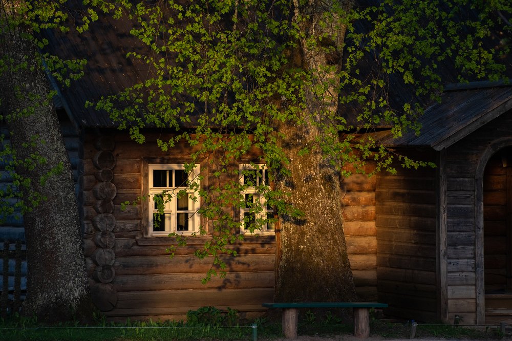 Домик няни Пушкина