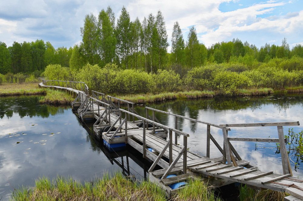 Понтонный мостик через речку Плавница