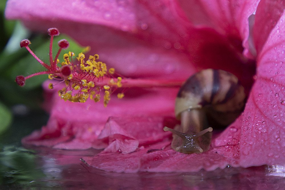 Photograph by Екатерина Вивюрская