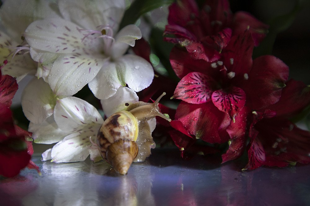 Photograph by Екатерина Вивюрская